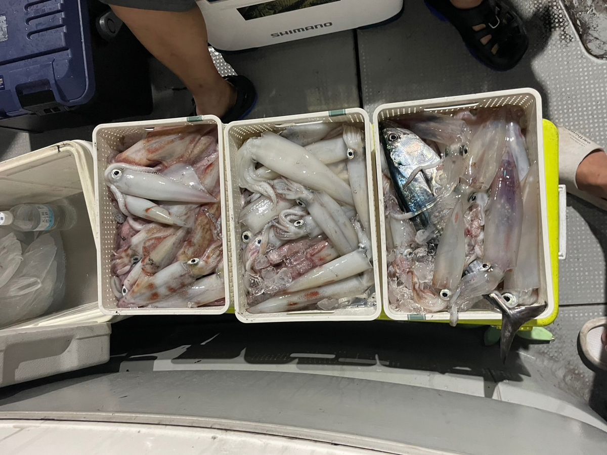 田畑良朗@なつき丸さんの釣果 3枚目の画像