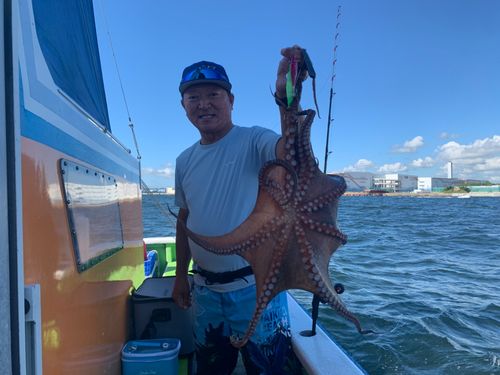 タコの釣果