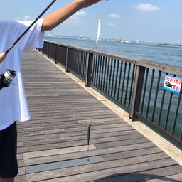 サッパ