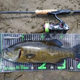 スモールマウスバス