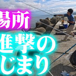 ヒラメ