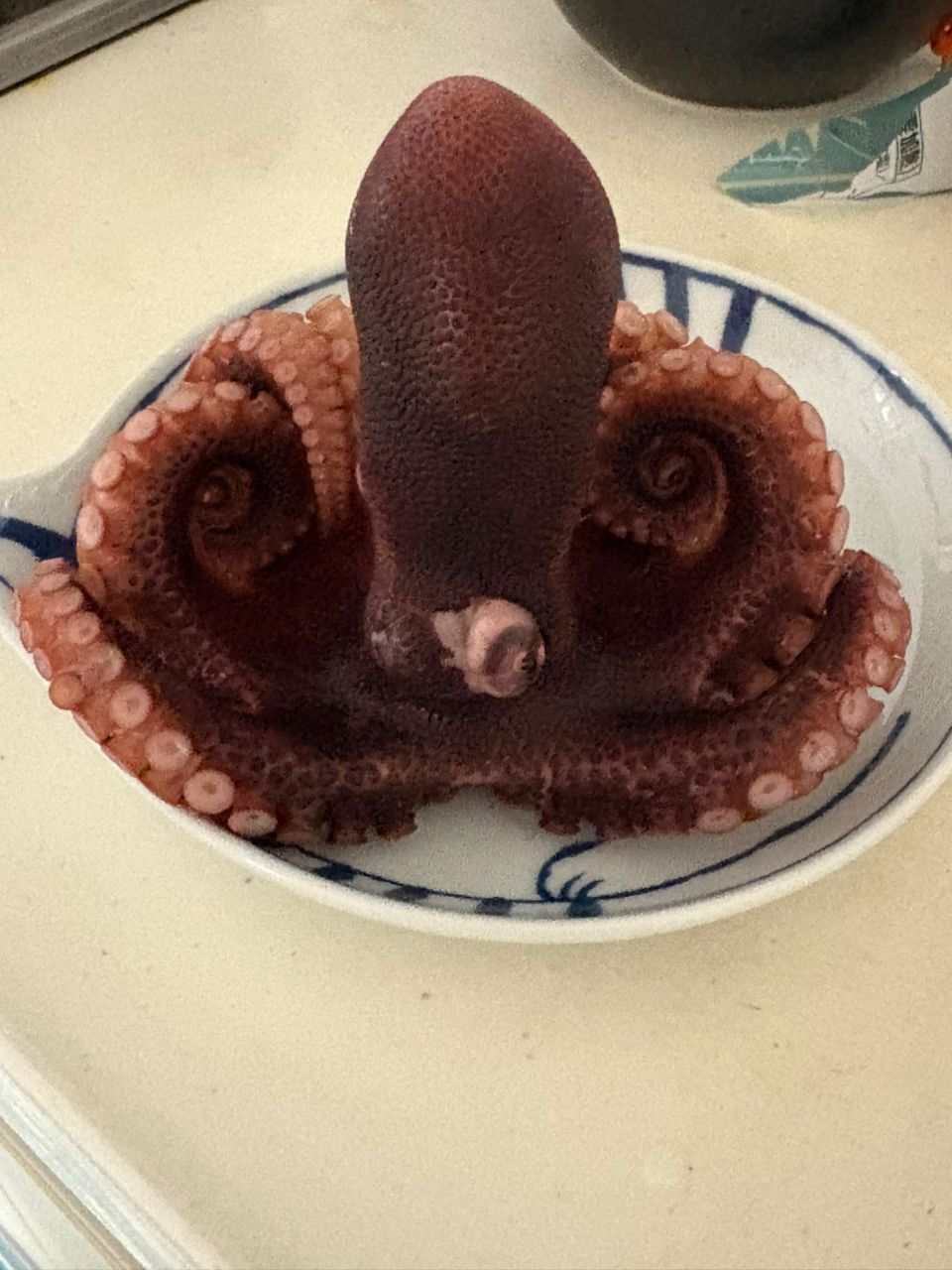 タコ