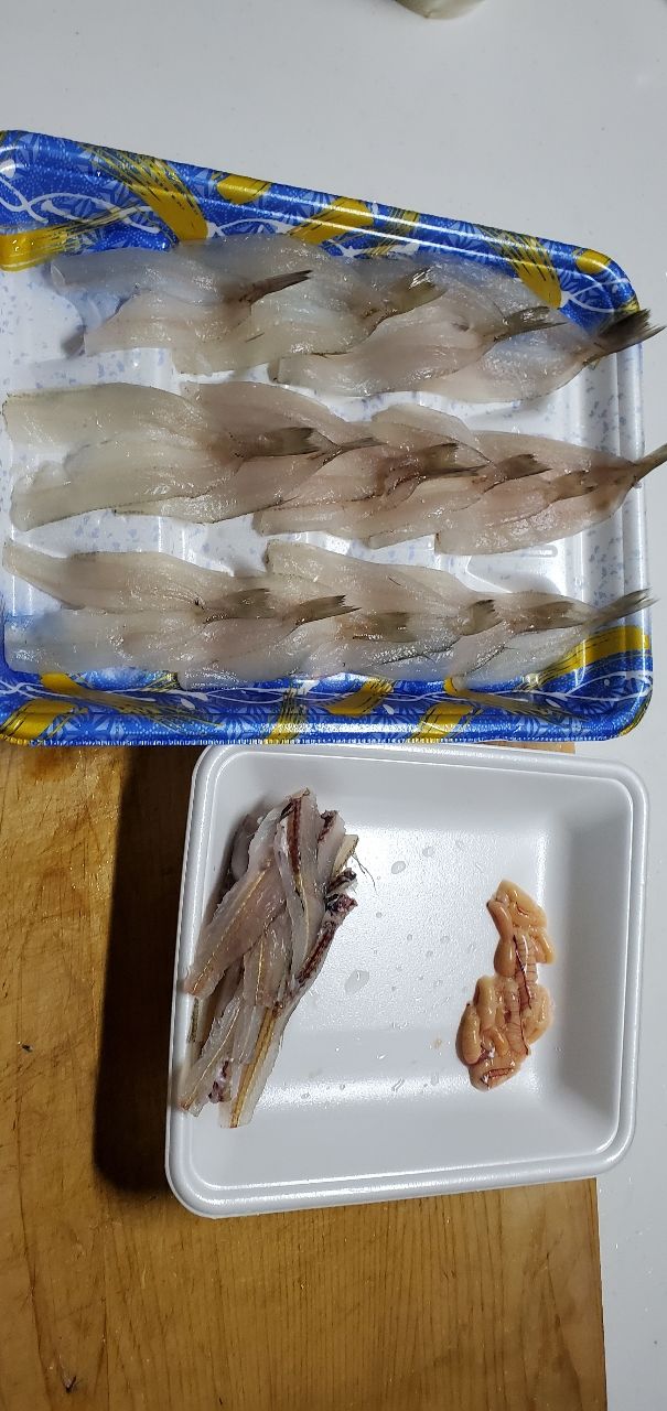シロギス