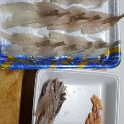 シロギス