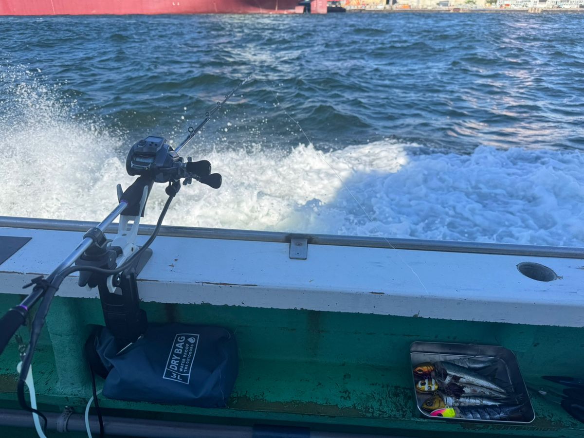 shizuシズさんの釣果 3枚目の画像