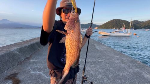 オオモンハタの釣果