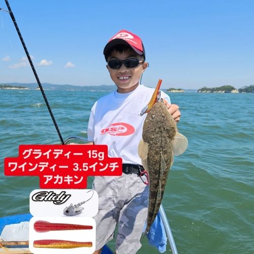 マゴチの釣果