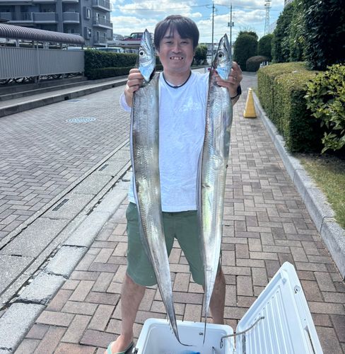 タチウオの釣果