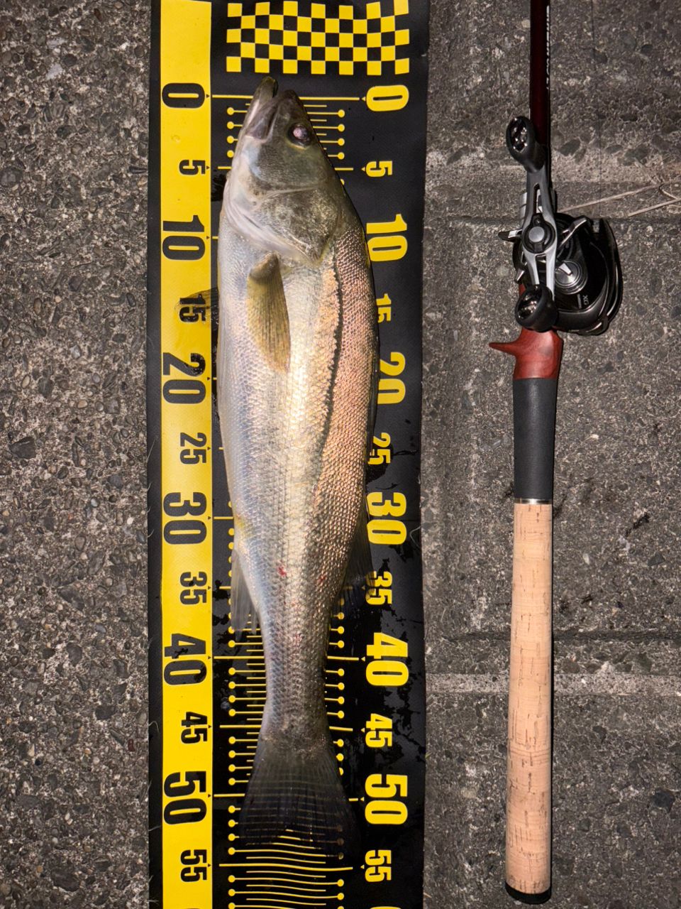 SHIMANO - 20 メタニウム XG LEFT SHIMANO 20メタニウム XG LEFTの最安値・インプレ・釣果 | 本音
