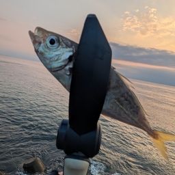 アジ
