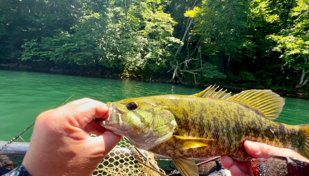 スモールマウスバス