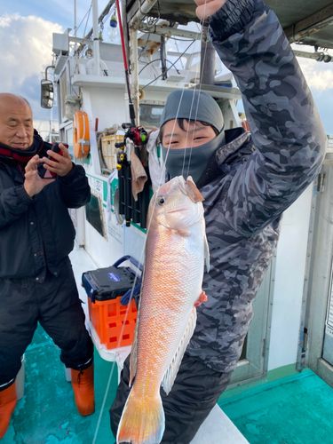 シロアマダイの釣果