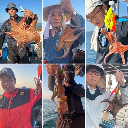 タコの釣果