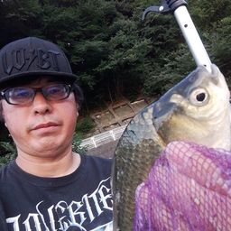 ヘラブナ