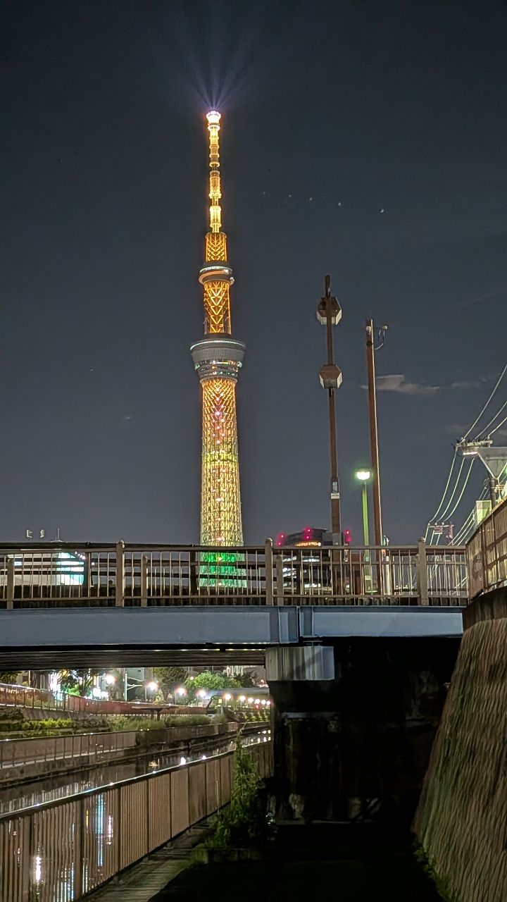 マハゼ