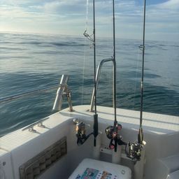 ウッカリカサゴ