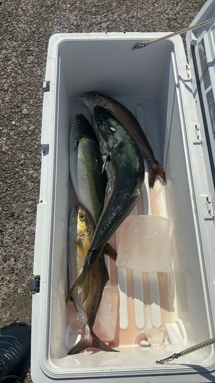 CFC SHUさんの釣果 2枚目の画像