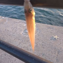 キス