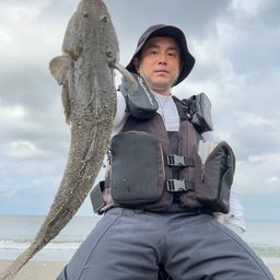 マゴチ