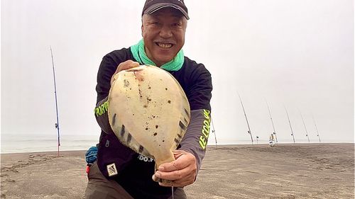 マツカワの釣果