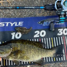 スモールマウスバス