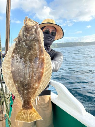 ヒラメの釣果