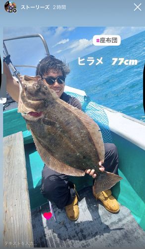 ヒラメの釣果
