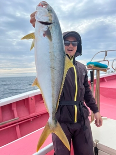 ヒラマサの釣果