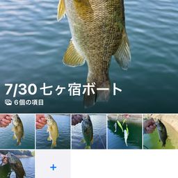 ブラックバス