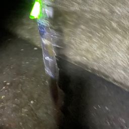 タチウオ
