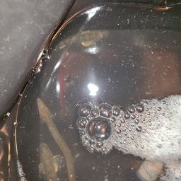 ウナギ