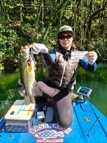 ブラックバスの釣果