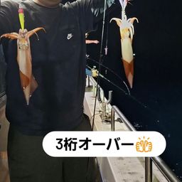 イカ