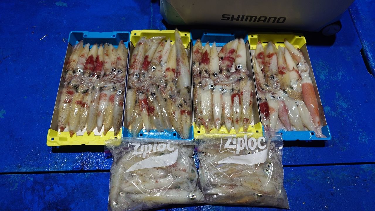 19 バンキッシュ　C3000MHG 焼きそば SHIMANO 19ヴァンキッシュ C3000MHGの最安値・インプレ・釣果