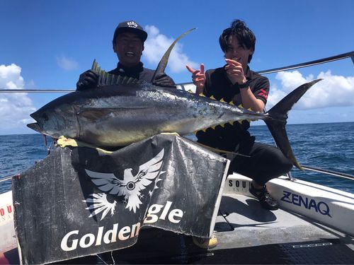 キハダマグロの釣果