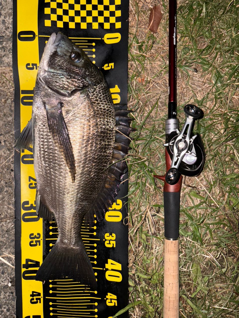 SHIMANO 20メタニウム XG LEFTの最安値・インプレ・釣果 | 本音