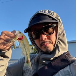 ブラックバス