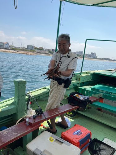 タコの釣果