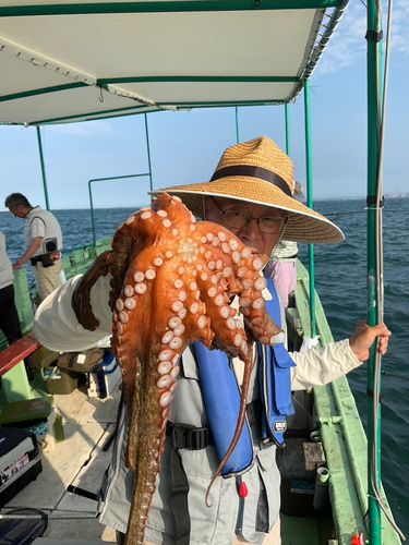 タコの釣果