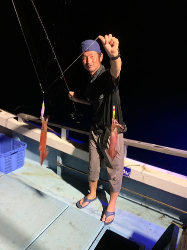 ケンサキイカの釣果