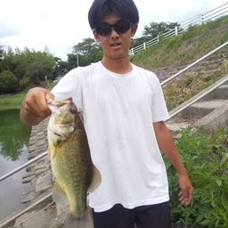 ブラックバス