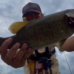 スモールマウスバス