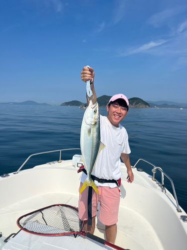 ブリの釣果