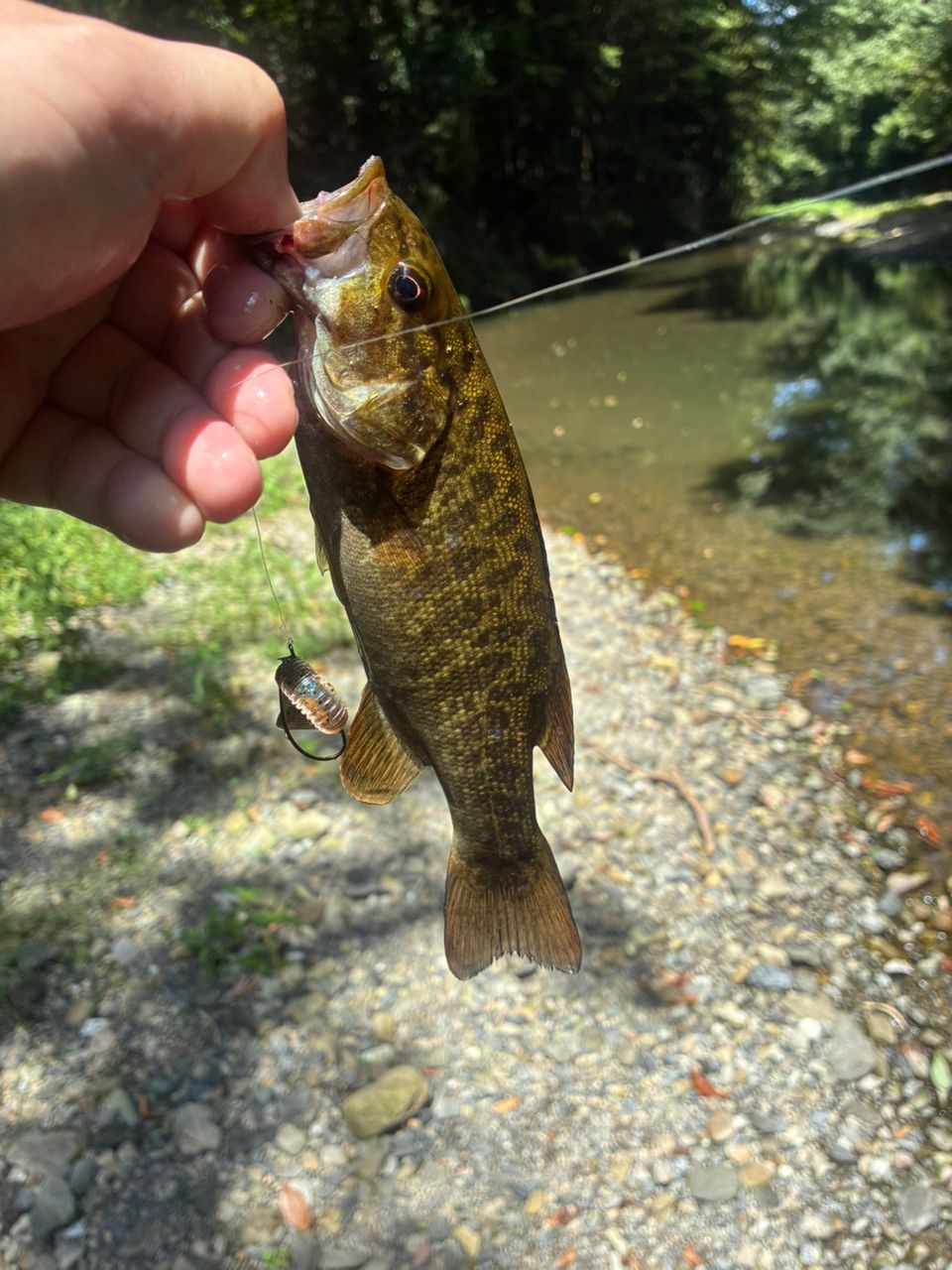 スモールマウスバス