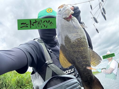 スモールマウスバスの釣果
