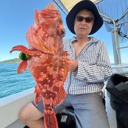 ウッカリカサゴ
