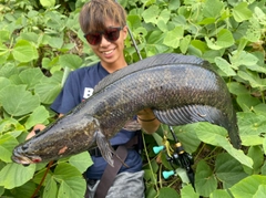 コイの釣果