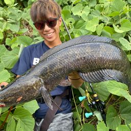 釣り人達(相模川) maxresdefault.jpg