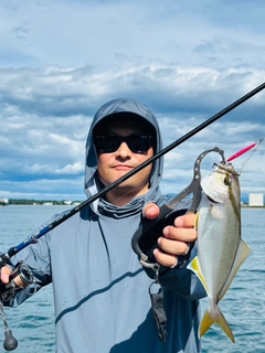 ショゴの釣果