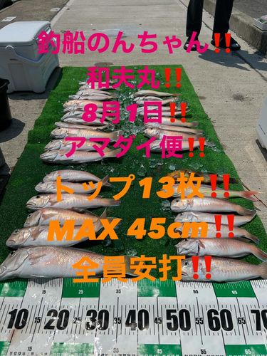 シロアマダイの釣果